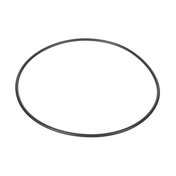 A black rubber circle, the Fetco 1024.00029.00 O-Ring.