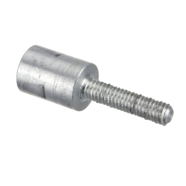 A silver metal pin with a screw head.