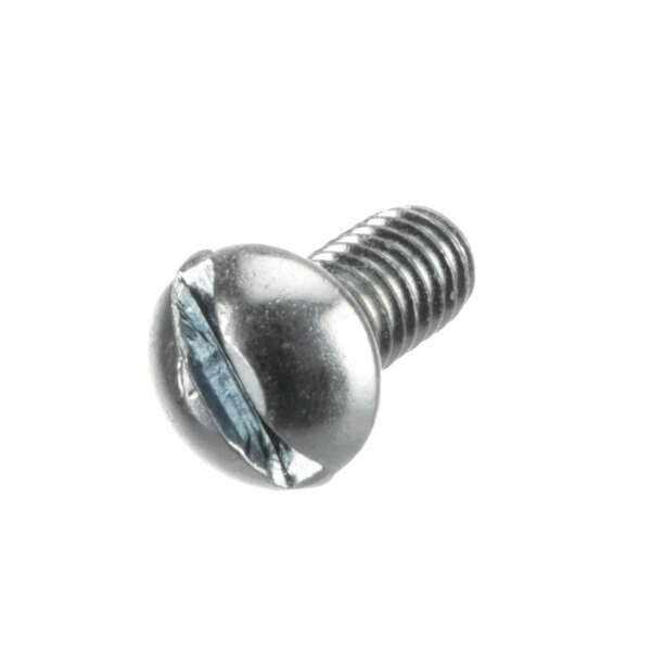 A close-up of a Hobart SC-007-41 screw with a metal head.