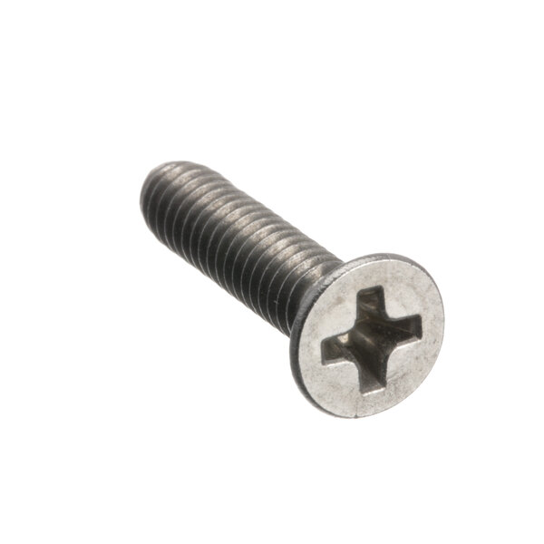 A close-up of a Henny Penny stainless steel screw with a cross head.