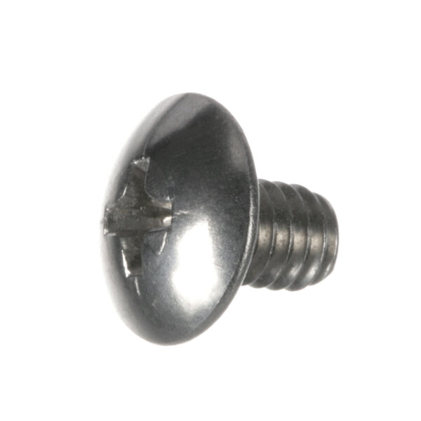 A close-up of a Henny Penny screw with a metal head.