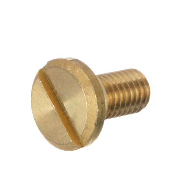 A close-up of a brass Jet Tech pivot pin.
