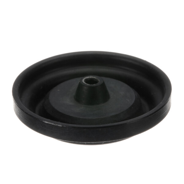 A black round diaphragm with a hole in it.