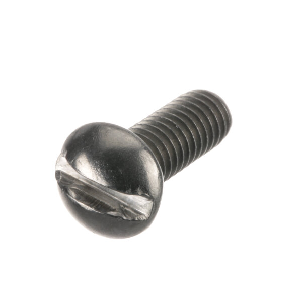 A close-up of a Hobart machine screw with a black head.