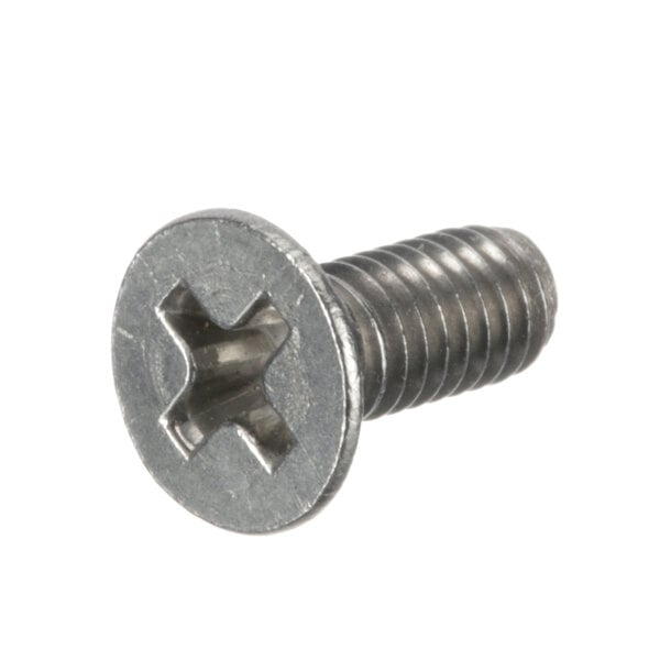 A close-up of a Globe lock screw with a cross hole.
