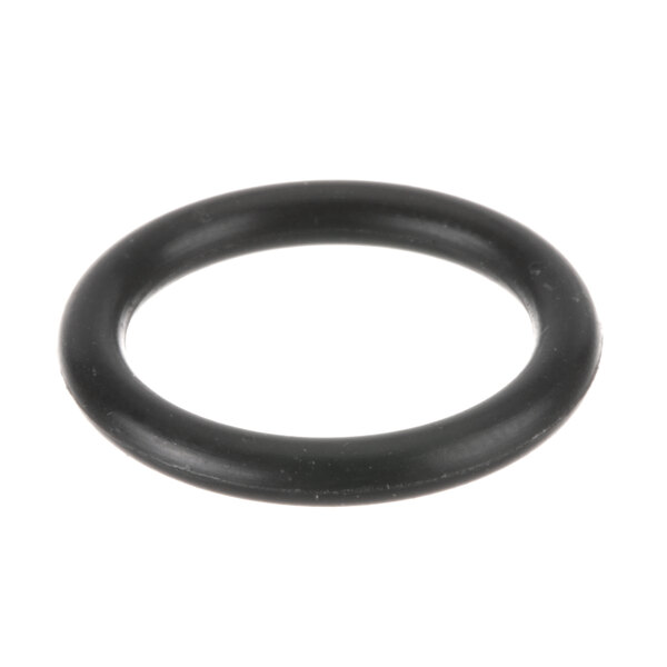 A black round SaniServ O-ring.