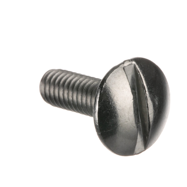 A close-up of a Bizerba black metal screw.