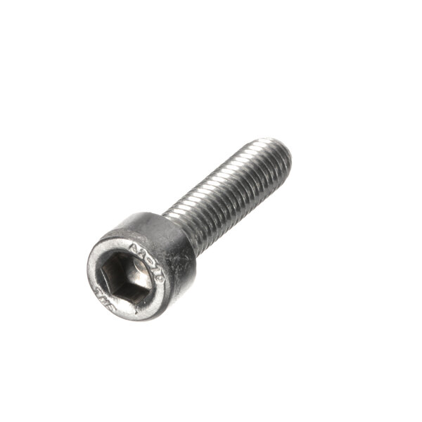 A close-up of a Bizerba screw with a metal head.