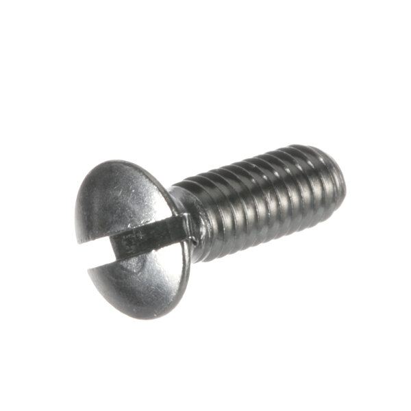 A close-up of a Henny Penny screw for a door lock cap.