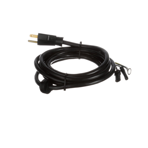 A black wire with a black plug.