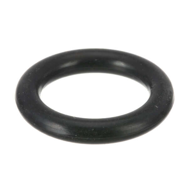 A black round Groen valve o-ring.