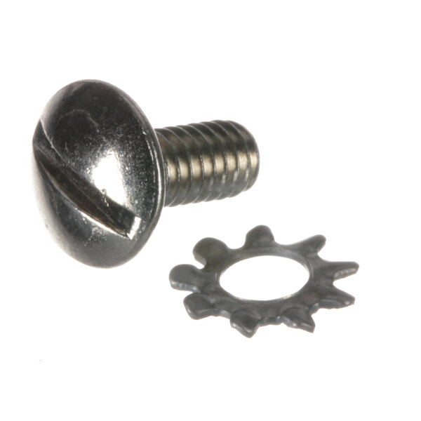 A close-up of a Hobart screw and a nut.