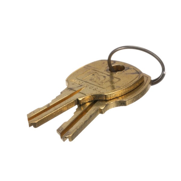 A close-up of a pair of Hoshizaki lock keys.