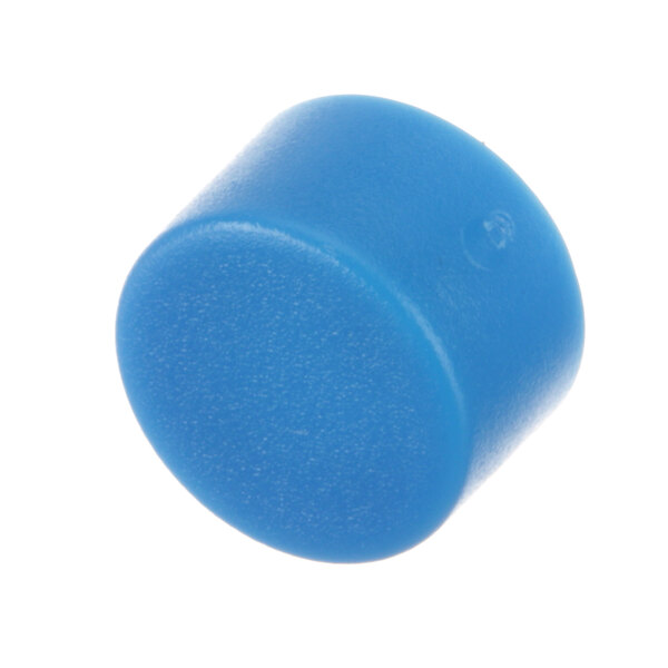 A blue plastic cylinder cap.