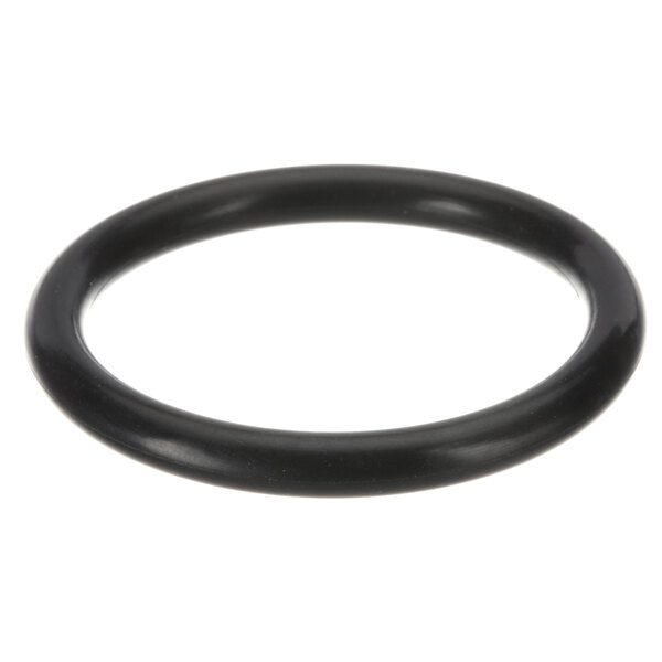 A Groen Z092102 black rubber O-ring on a white background.