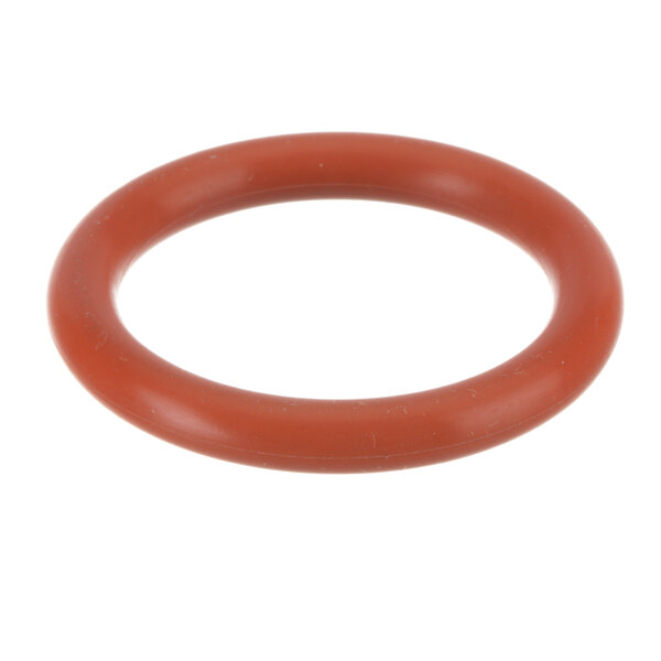 A red rubber O ring with a red circle inside on a white background.
