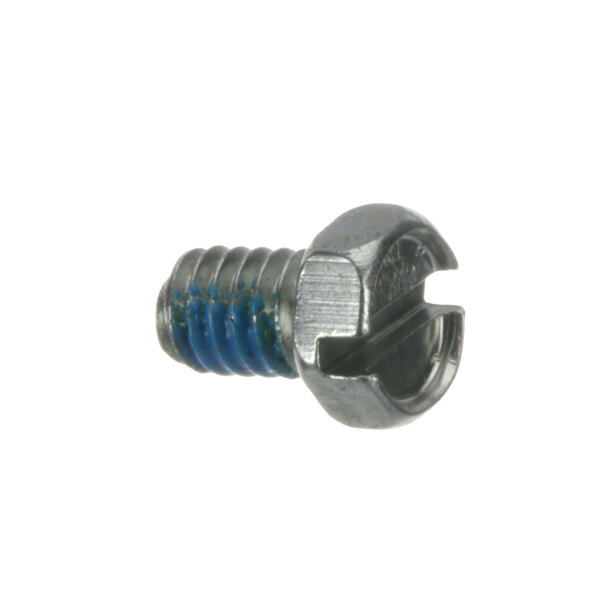 A close-up of a Pitco screw with a blue screw head.
