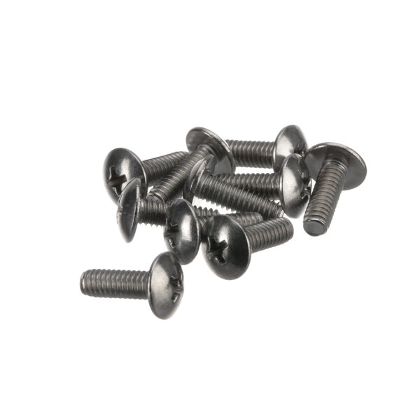 A pack of Manitowoc Ice Ctl Panel Screws.