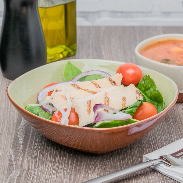A bowl of salad with chicken and vegetables in a Libbey terracotta bowl.