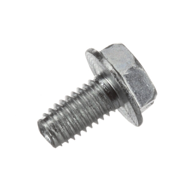 A close-up of an Amana screw with a hex head.