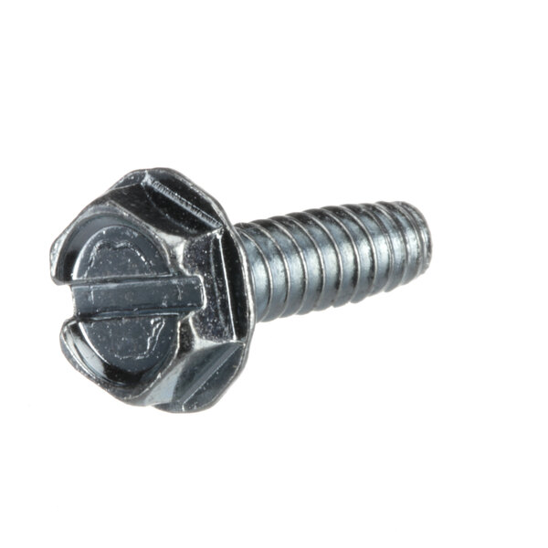 A close-up of an Amana screw with a metal head.