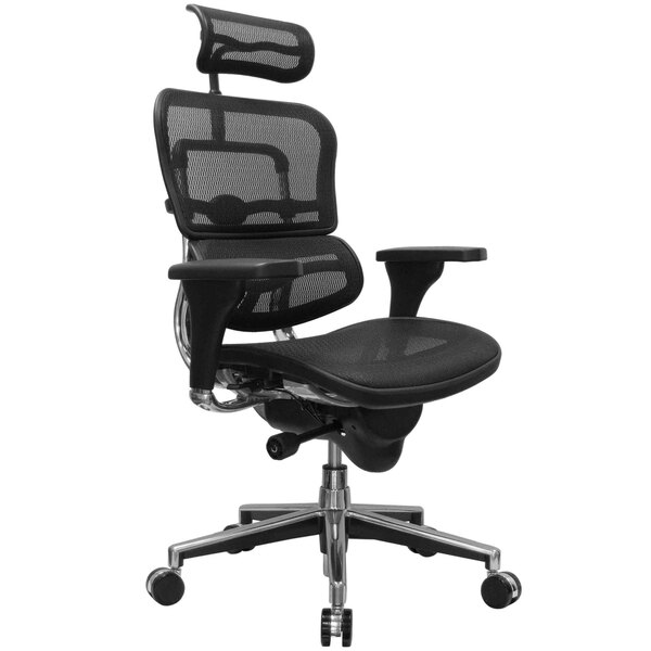 Eurotech Seating ME7ERG-W09-1 Ergohuman Black Mesh High Back Swivel Office Chair