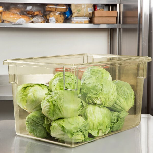 A plastic Cambro food storage box filled with lettuce on a counter.