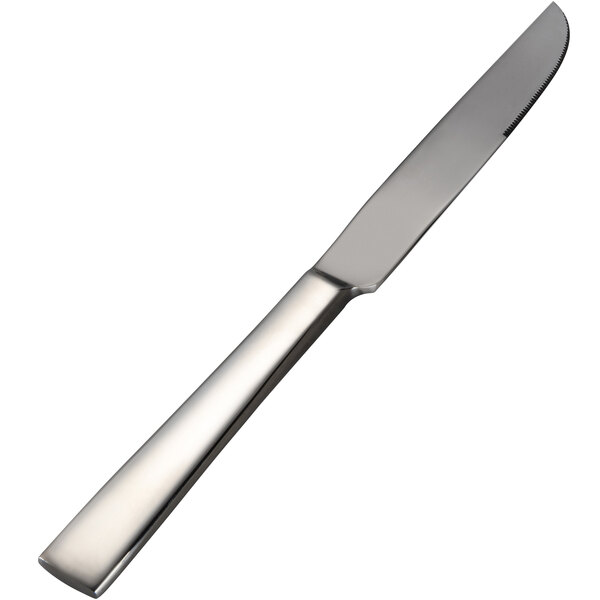A close-up of a Bon Chef stainless steel dinner knife with a silver handle.