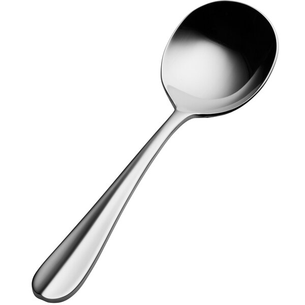 A Bon Chef bouillon spoon with a silver handle.