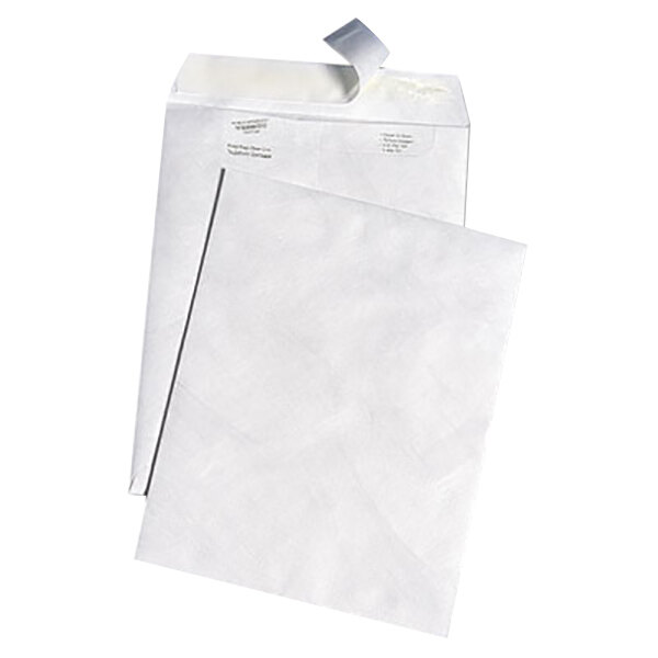 Survivor R3120 Tyvek® #90 9" x 12" White Leather Mailer - 100/Box