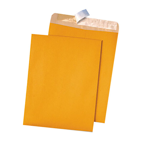 Quality Park 44511 #90 9" x 12" Recycled Brown Kraft File Envelope with Redi-Strip Seal - 100/Box