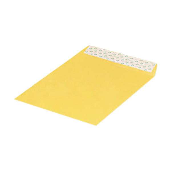 Quality Park 44762 #97 10" x 13" Brown Kraft File Envelope with Redi-Strip Seal - 100/Box