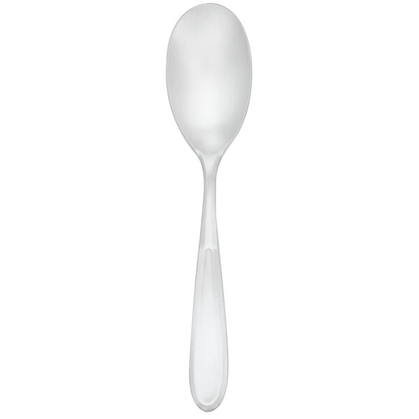 A close-up of a Walco Modernaire stainless steel dessert spoon with a white handle and bowl.