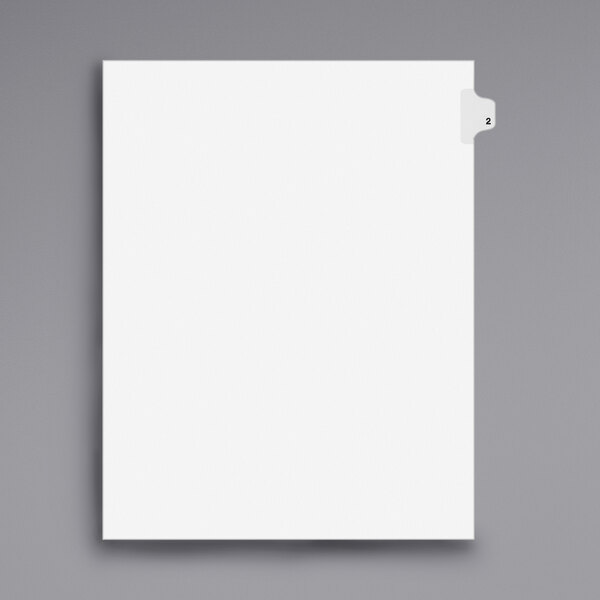 A white rectangular file tab divider with a black border.