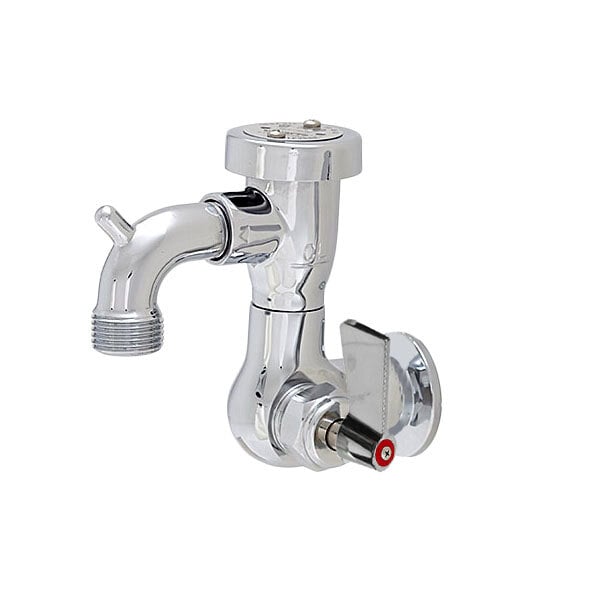 Fisher 55301 Wall Mounted Stainless Steel Service Sink Faucet with 3