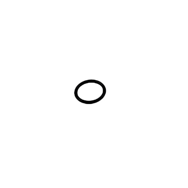 A black rubber O-ring.