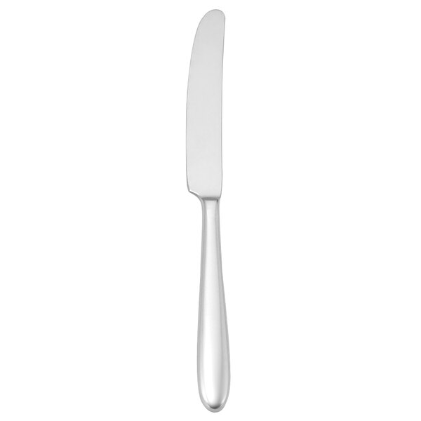 A silver dessert knife with a white background.