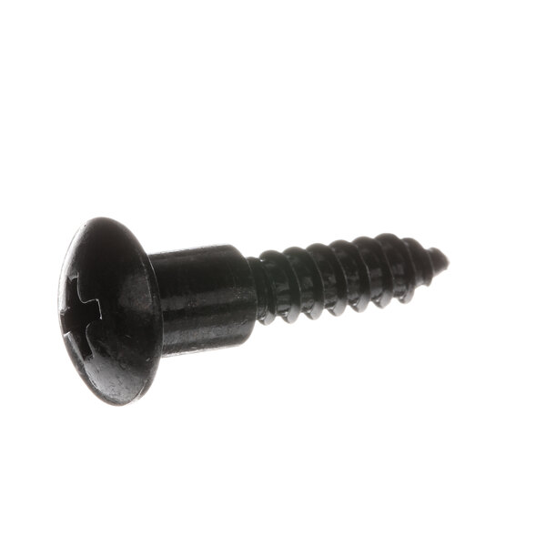 A close-up of a black Hussmann screw.