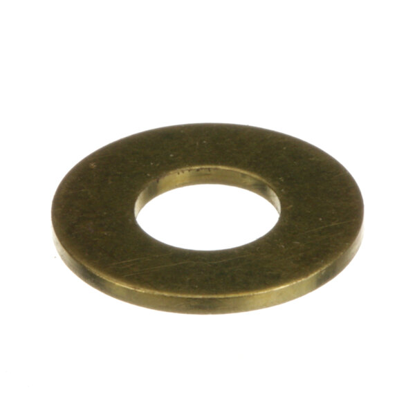 A close-up of a brass flat washer.