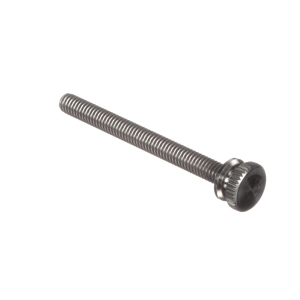 A long metal screw with a black head and a screw in the center.