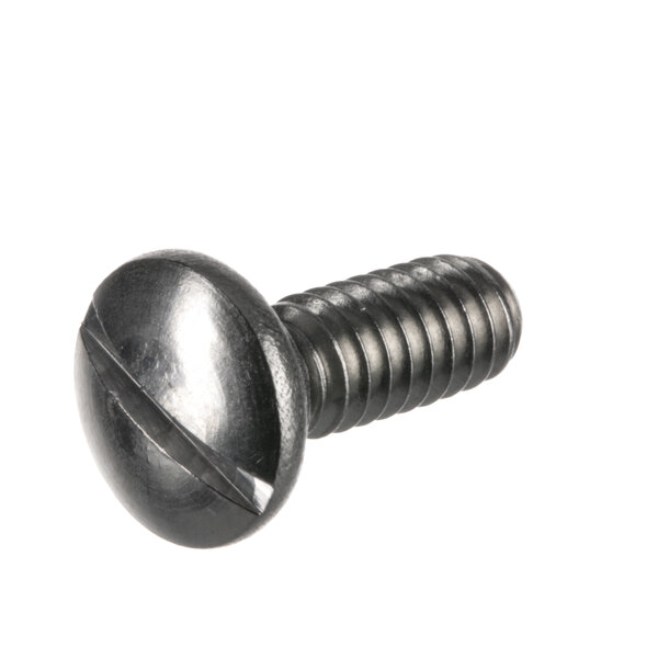 A close-up of a Follett Corporation shoulder screw.