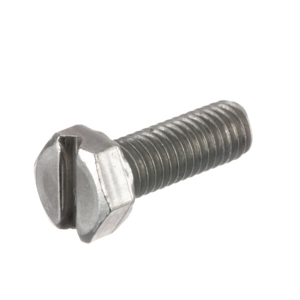 A close-up of a Rancilio screw with a hex head.