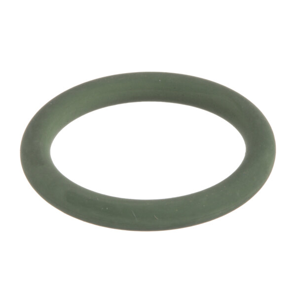 A green rubber Carpigiani Pastomaster o-ring.