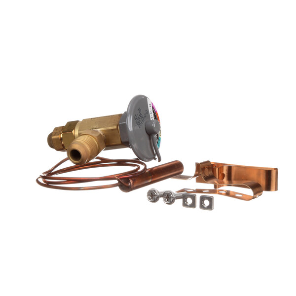 A copper Hussmann TEV with a hose connection.