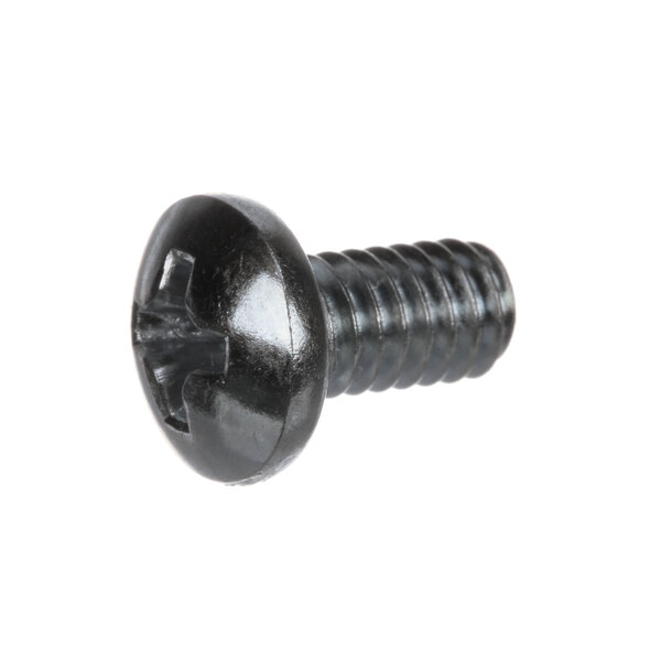 A close-up of a black Hobart SC-018-33 screw.