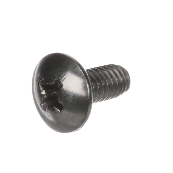 A close-up of a black Hobart SC-125-41 screw with a star on the end.