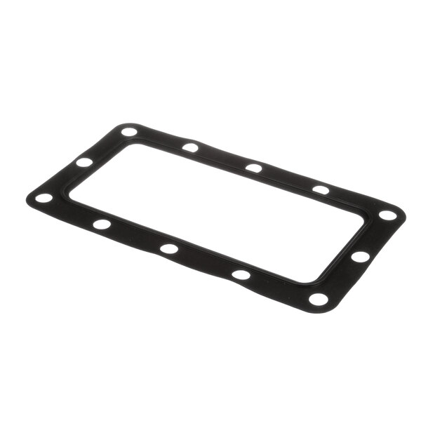 A black rectangular Server Products gasket with holes.