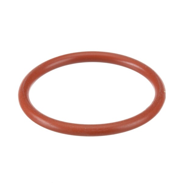 A red rubber o-ring with a brown circle on a white background.
