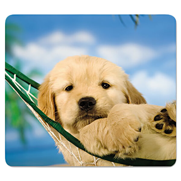 A golden retriever puppy lying in a hammock on a Fellowes mouse pad.