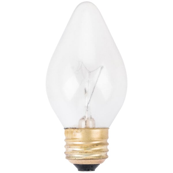 60 Watt Shatterproof Light Bulb - 120V - 4" x 2"